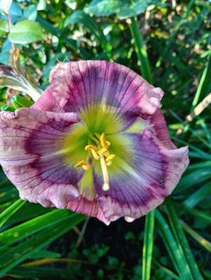 20190901_082609_HDR.jpg