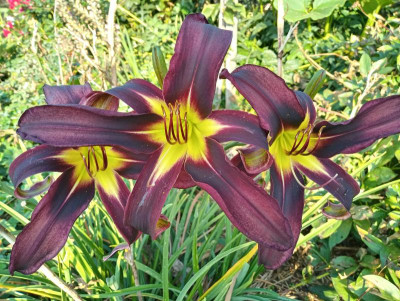 20190901_082040_HDR.jpg