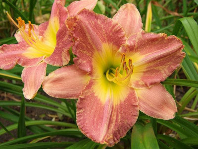 01.09.2019 12-59-38_19185.jpg