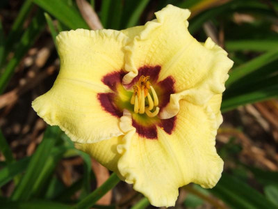 01.09.2019 12-59-59_19195.jpg