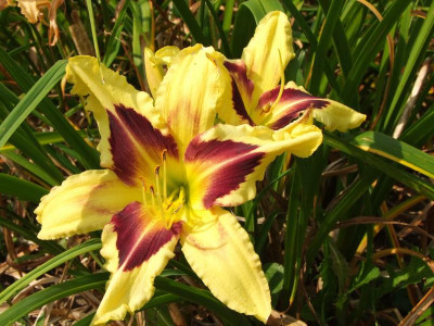 01.09.2019 13-00-46_19214.jpg