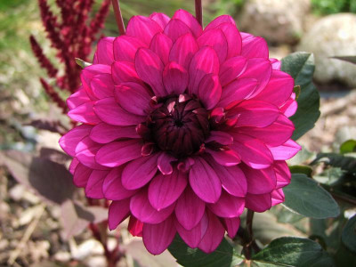 01.09.2019 13-02-31_19259.jpg