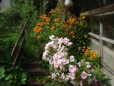 DSC06895.JPG