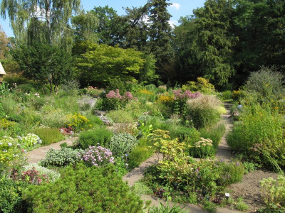 IMG_7824_Foerstergarten_Potsdam_31Aug2019_.jpg