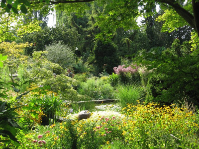 IMG_7838_Foerstergarten_31Aug2019_.jpg