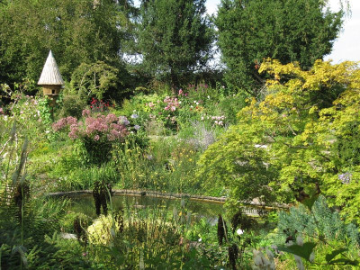 IMG_7841_Foerstergarten_31Aug2019_.jpg