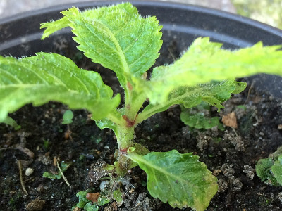 2019 09 02  Q.jpg