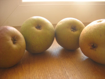 STA_5800.JPG