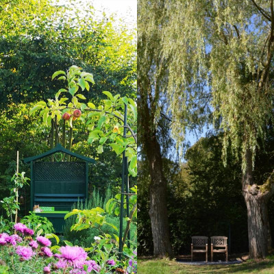 inCollage_20190903_123836701.jpg