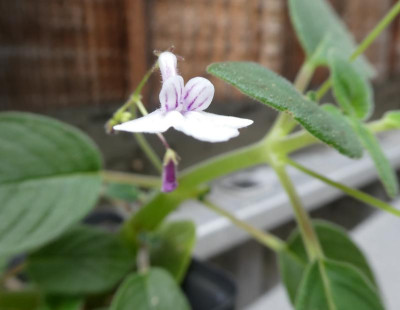20190903_225915.jpg