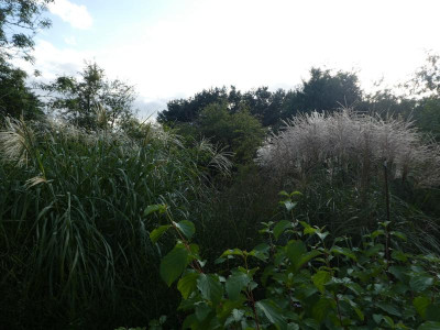P1060107.JPG