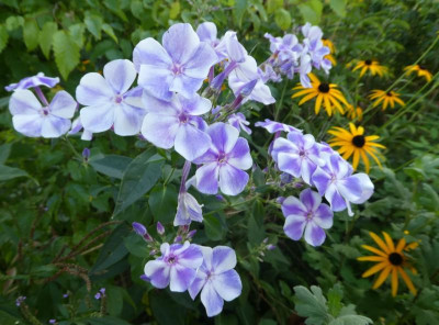20190903_225554.jpg