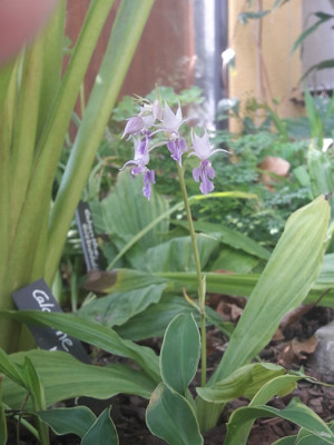20190905_144338.jpg