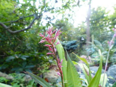 P1020673.JPG