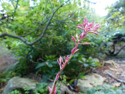 P1020674.JPG