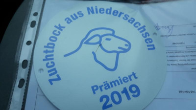 IMG-20190907-WA0015.jpeg