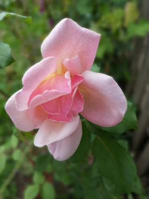 IMG_20190908_074046.jpg