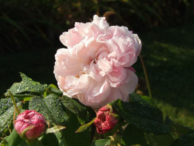 08.09.2019 10-33-29_19447.jpg
