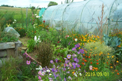 100_7973 Gemüsegarten.jpg