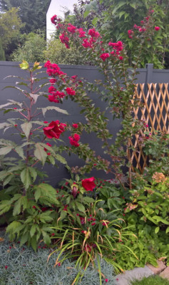 201909081b.jpg