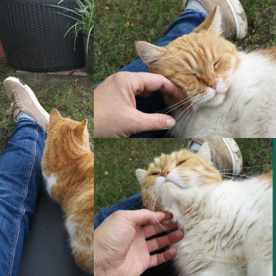 inCollage_20190909_075707005.jpg