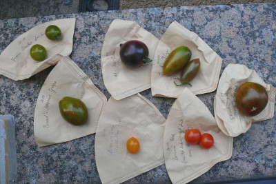 P1390683.jpg