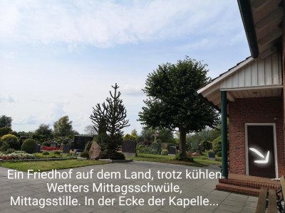 2019-09-09-13-02-05.jpg