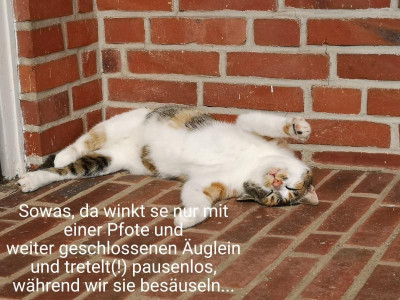 2019-09-09-13-10-40.jpg