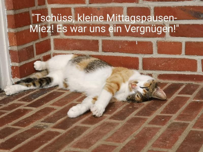 2019-09-09-13-11-55.jpg