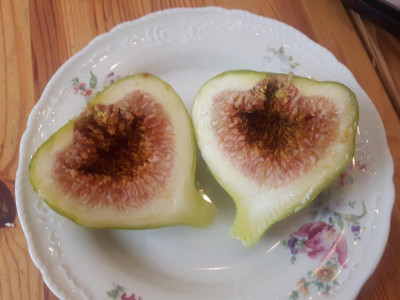 20190908_122631.jpg