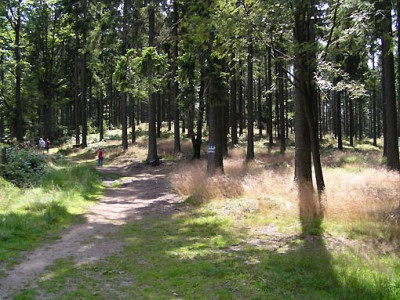 sternstein_wieder_hinunter.jpg