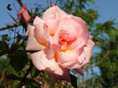 08.09.2019 10-32-29_19422.jpg