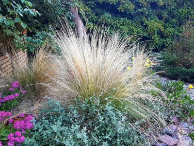 20190910_084714.jpg