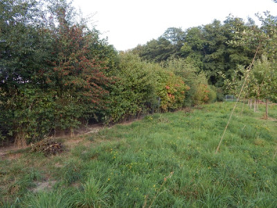 DSCN1805 - Kopie.JPG