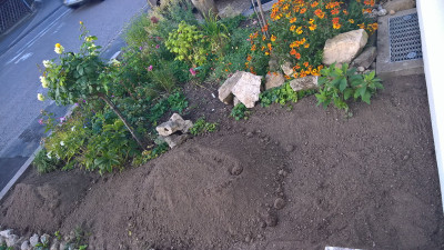 20190910b.jpg