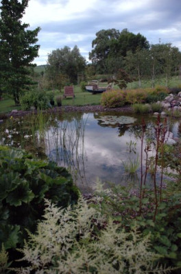 new_sommer07_007.jpg
