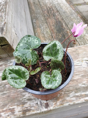 20190911_105543.jpg
