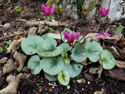 P1160231.JPG