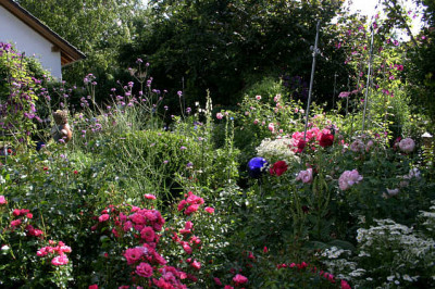 Gartenansicht6307.jpg