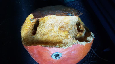 20190912_183133.jpg