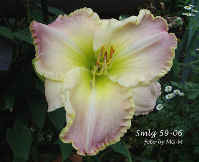 Imgp3135-Smlg.jpg