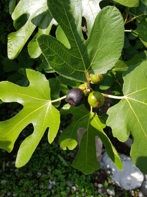 20190914_145637.jpg