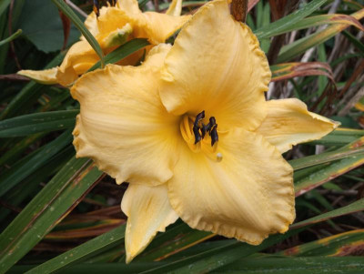 20190914_125508_HDR.jpg