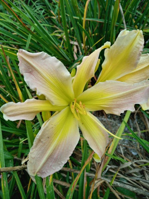 20190906_123600_HDR.jpg