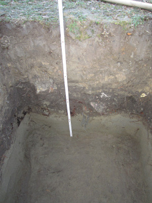 Bodenprofil Park.JPG