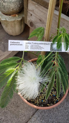 20190915_142447.jpg