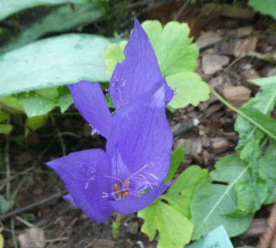 20190917_215906.jpg