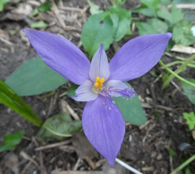 20190917_215929.jpg