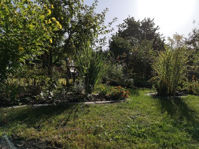 IMG_20190918_101750.jpg