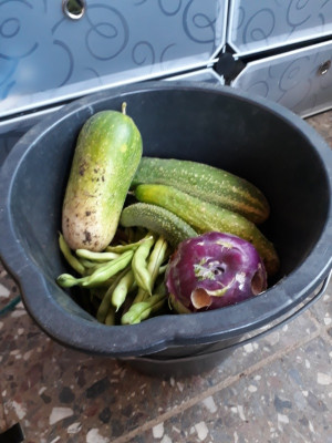 rps20190919_115703.jpg